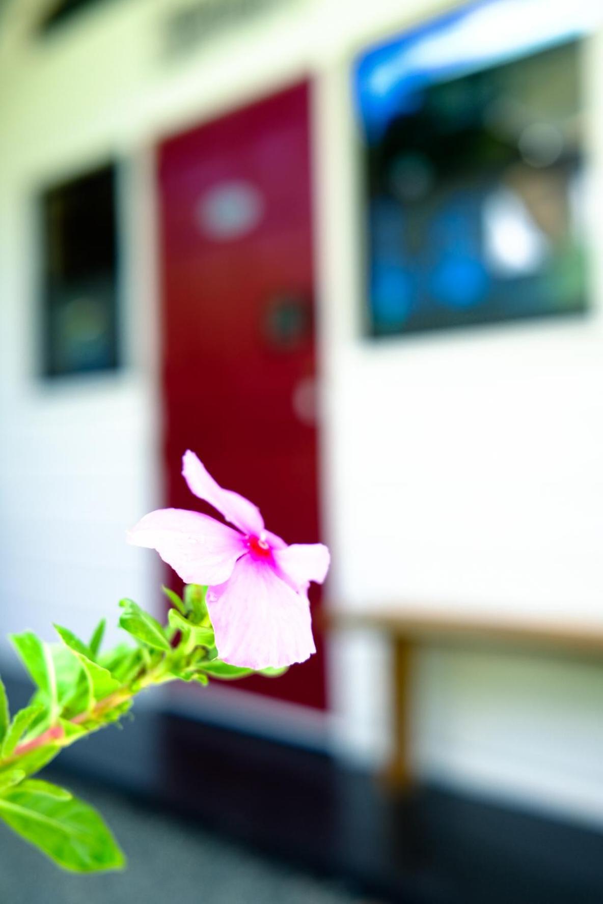 Silk Cotton Cottages Parrot Hall Exterior foto